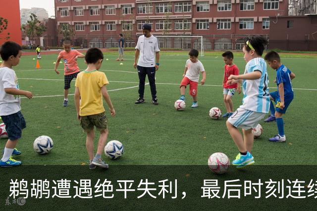 鹈鹕遭遇绝平失利，最后时刻连续失准错失机会